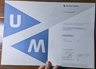 Maastricht University degree