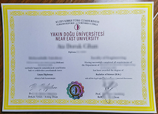Near East University degree