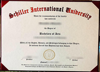 Schiller International University degree