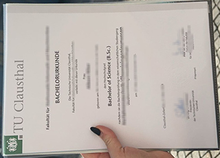 Technische Universität Clausthal degree