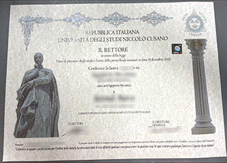 Università degli Studi Niccolò Cusano degree