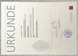 Universität Mainz degree