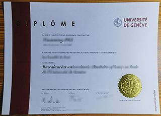 Université de Genève degree