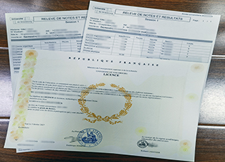 Université de Strasbourg degree and transcript