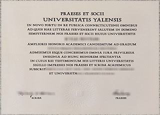 Yale University diploma